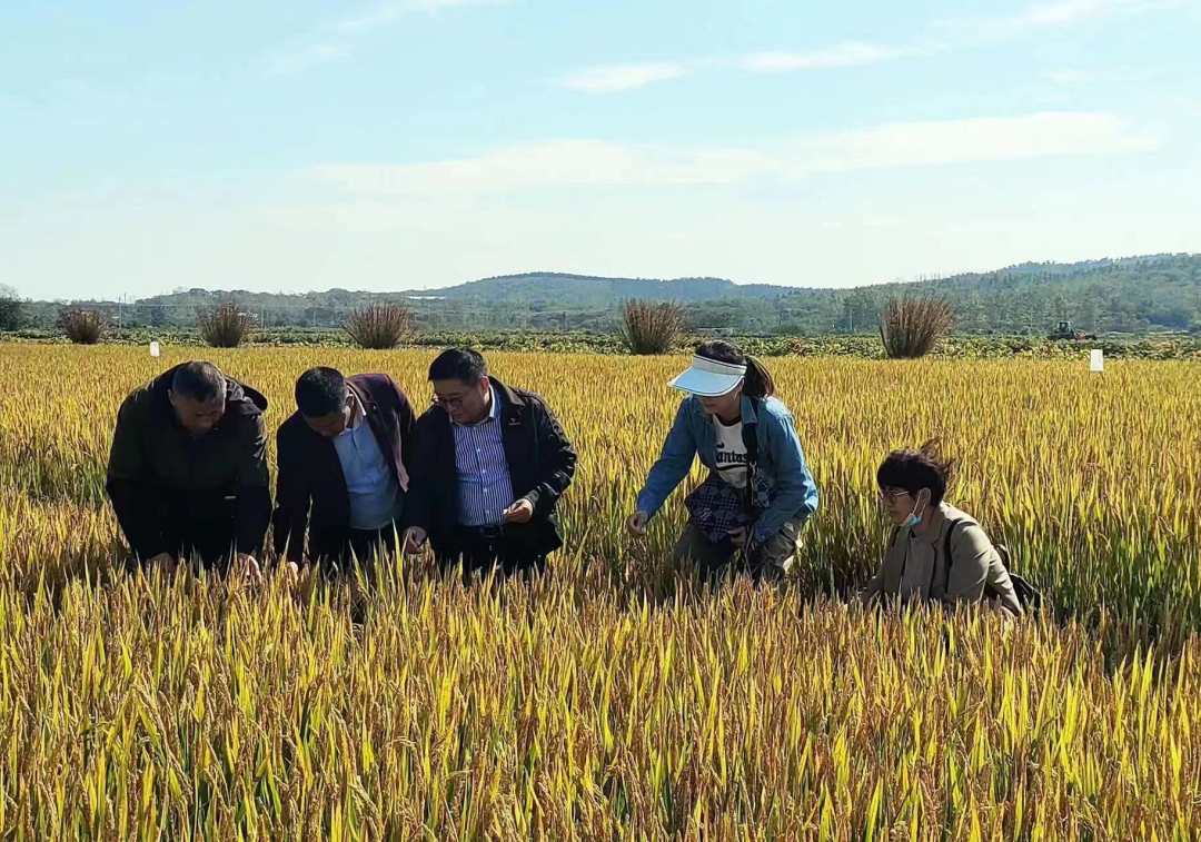 1683946568368687.jpg?x-oss-process=style/w10